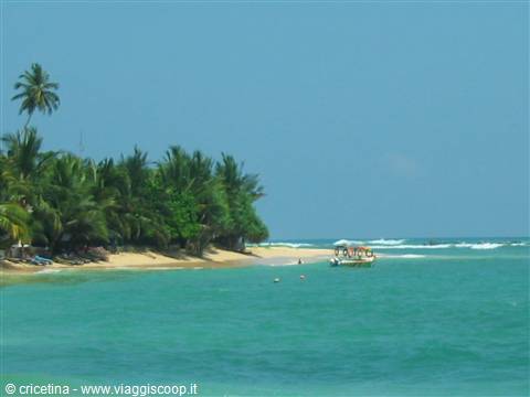 Boat with umbrella near sandy beach lined with palms, turquoise sea
