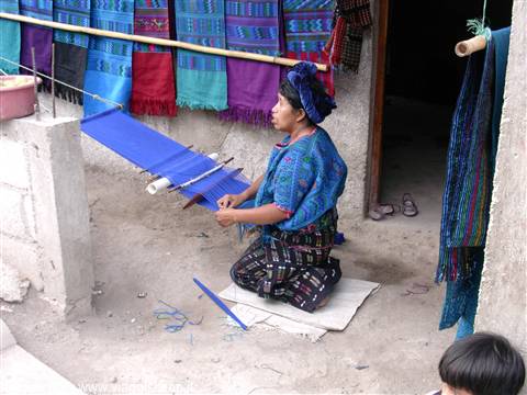 Maya woman weaves blue fabric on backstrap loom, colorful textiles hanging behind
