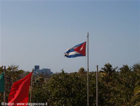 Cuban flag waving on a metal pole among palm trees under blue sky