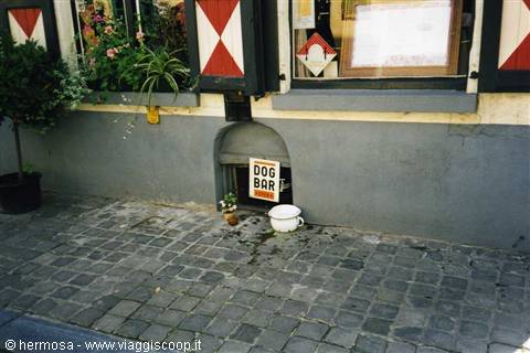 Small door with Dog Bar sign in a gray house wall
