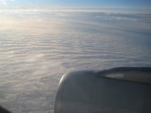 Airplane engine above a sea of clouds, morning light