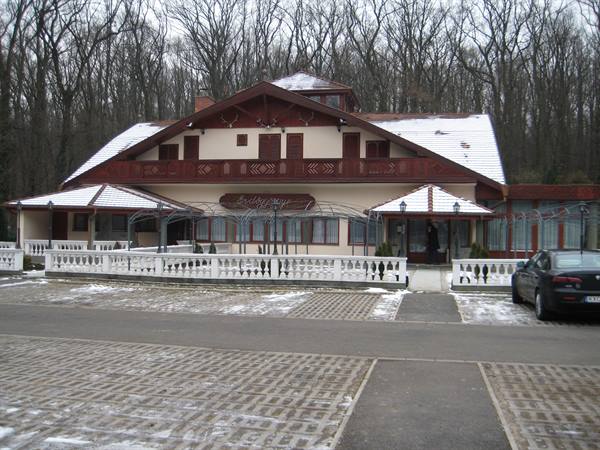 Wooden restaurant with snowy roof and paved parking lot in winter