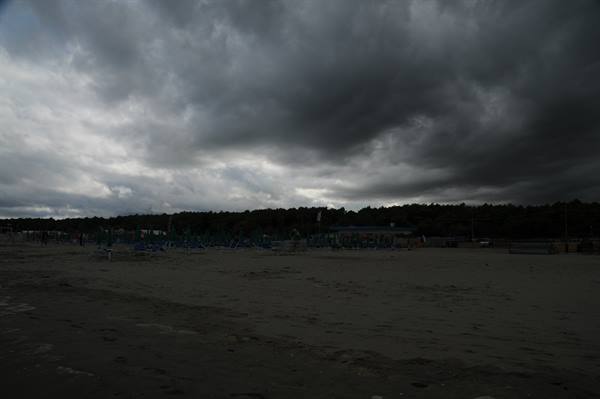 Dark beach under storm clouds, closed umbrellas near the pine forest