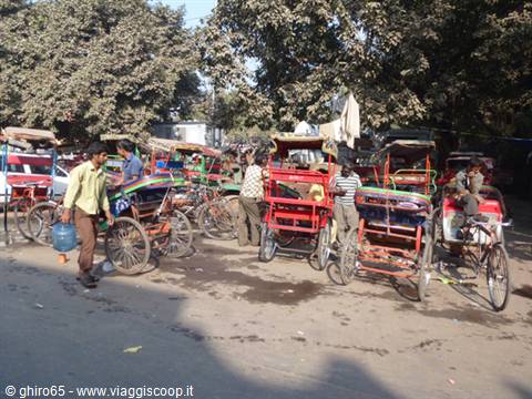 Cycle rickshaws waiting for passengers under the trees, Delhi