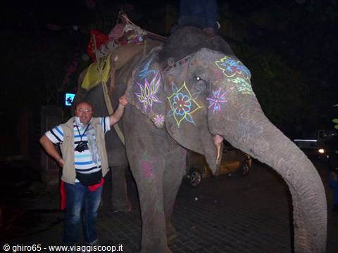 Tourist beside an elephant painted with colorful flowers, at night