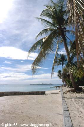 The island