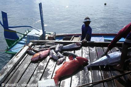 Fishermen returning