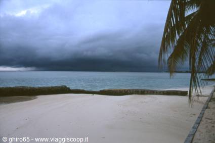 storm coming