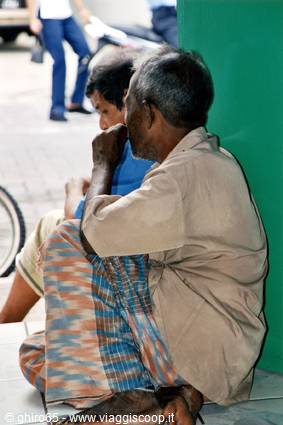 The siesta