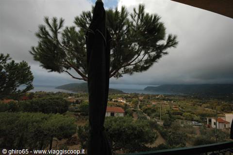 Closed umbrella in front of pines over a hilly gulf under clouds