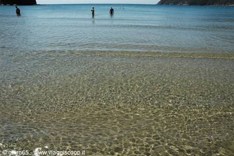 Bathers wading in clear shallow water on Abel Tasman sandy beach