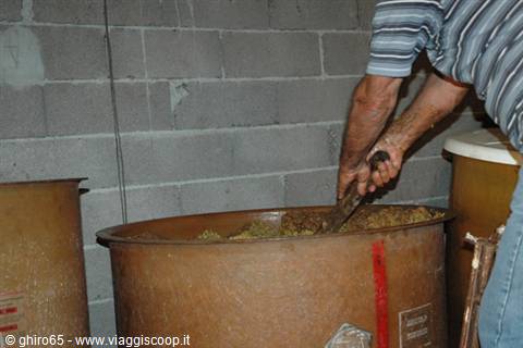 Man stirring grapes with a wooden stick inside a large wine vat