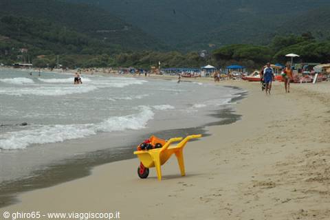 Yellow toy wheelbarrow on wet sand, bathers and umbrellas among pine trees