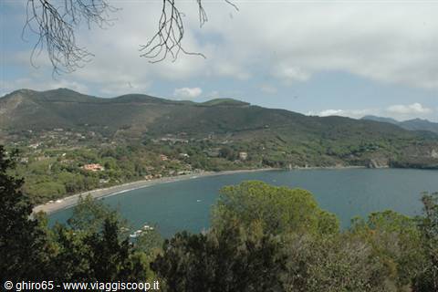 Sandy bay surrounded by green hills and pines under a cloudy sky
