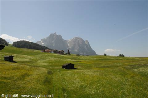 Wooden hut on green meadow, Langkofel peaks in the sunny background