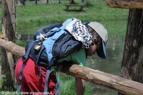 Child with blue backpack and cap leaning over a wooden fence toward the pond