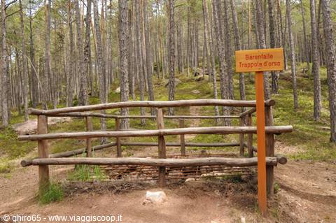 Wooden sign Trappola d'orso beside log fence in a pine forest
