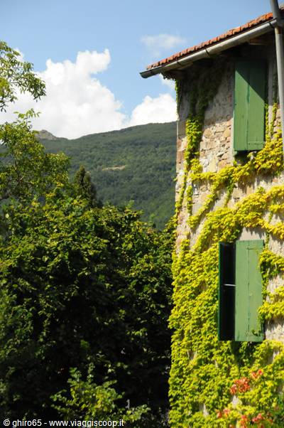 Stone house covered in ivy with green shutters, Apennines