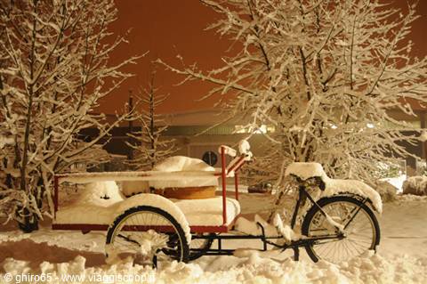 Snow-covered cargo tricycle parked under frosted trees in night light