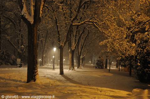 Snowy avenue at night, lampposts lighting snow-covered trees