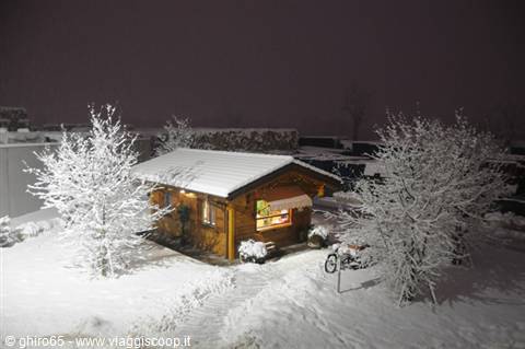 Wooden cabin glowing at night, snow-covered trees, bicycle parked outside