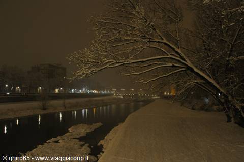 Snowy night by the river, snow-laden tree, distant lights on the embankment