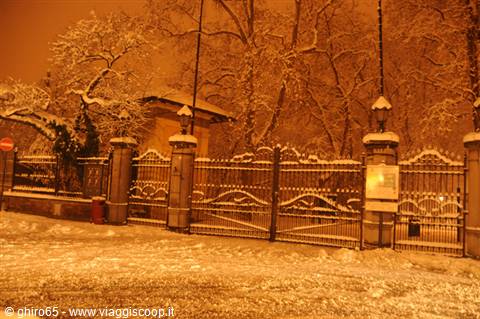 Snow-covered wrought iron gate at night, lit by orange street lamps