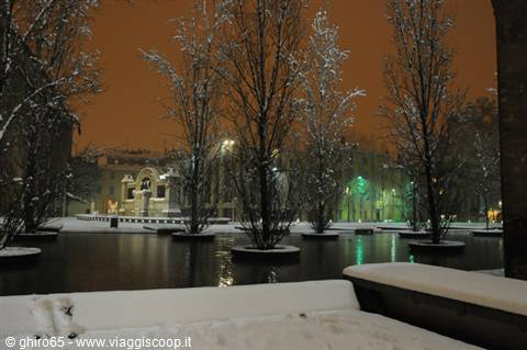 Snow-covered trees and water basins lit at night in an urban square