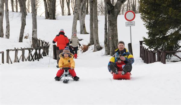 Child and man sledding on snow among bare trees and wooden fences