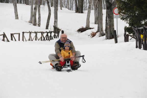 Grandfather and child ride a snow sled down a slope among bare trees