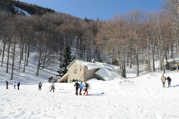 Hikers in snowshoes near a stone mountain hut among bare beech trees