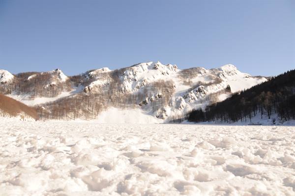 frozen snow foreground, snowy mountains and bare woods under blue sky
