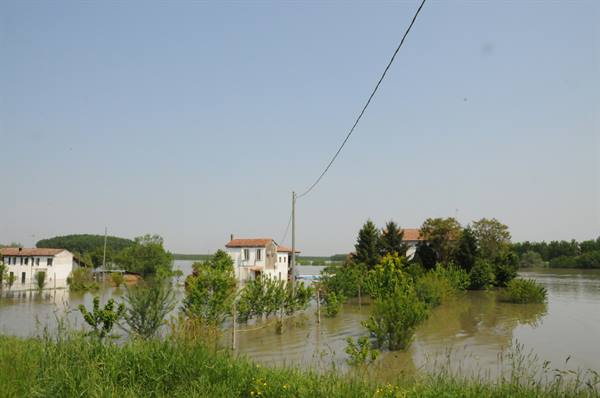 Farmhouses surrounded by brown floodwater among trees under clear sky