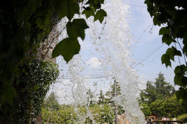Water jets splash among green leaves at a summer park under blue sky