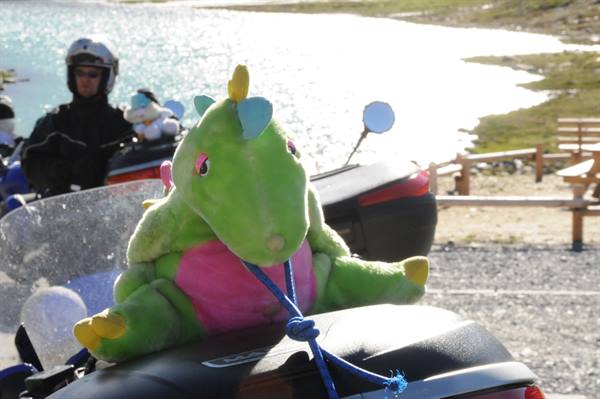 Green dinosaur plush toy tied with blue rope on motorcycle top case