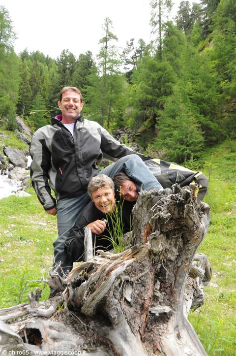 Three motorcyclists joking on a dead tree trunk in an alpine valley
