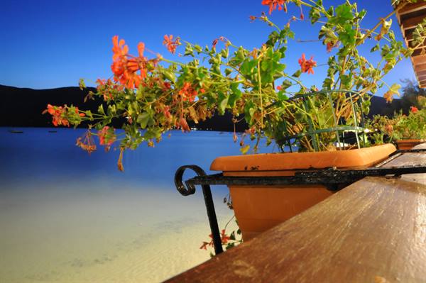 Pots of red geraniums on a wooden railing above the beach