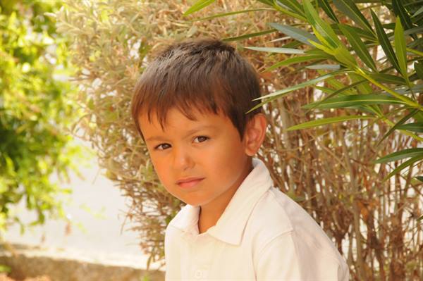 Boy in white shirt among green bushes and sunlit leaves