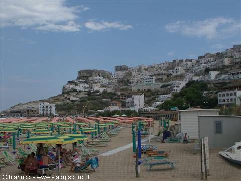 Beach with umbrellas and loungers beneath the white village of Peschici
