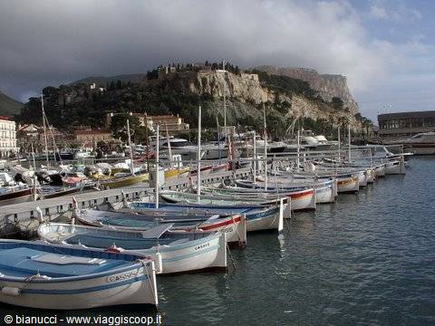Painted fishing boats moored at Cassis harbor beneath the cliff
