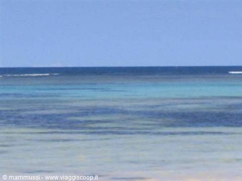 Turquoise sea with clear shallow water and deep blue horizon under clear sky