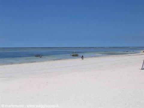 White sand beach, boat and person on blue water under clear sky