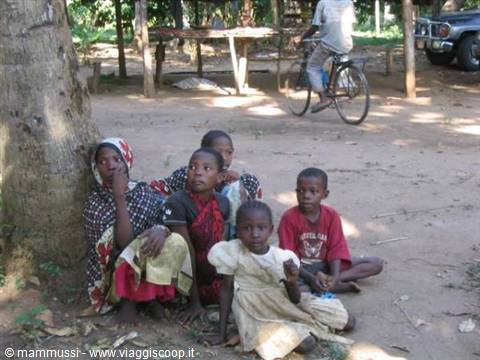 Children sitting in tree shade, a boy on a bicycle nearby