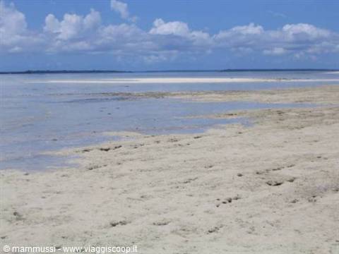 Pale sand at low tide, shallow waters and blue sky with clouds