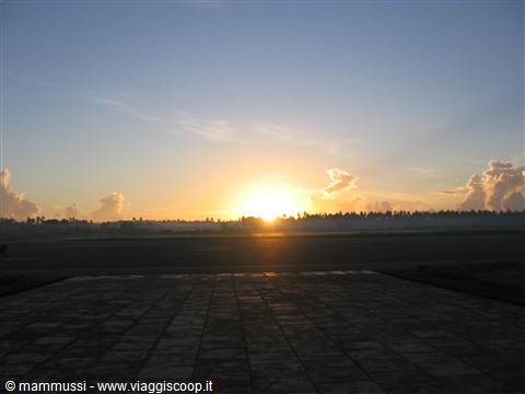 Sun rising over the sea behind palm trees, tiled terrace in foreground