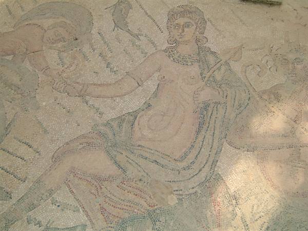 The mosaics