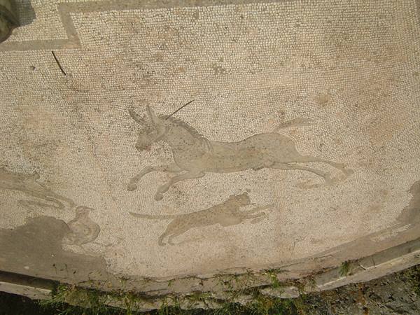 The mosaics