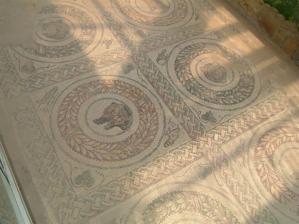 The mosaics