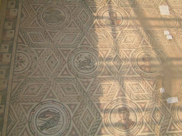 The mosaics