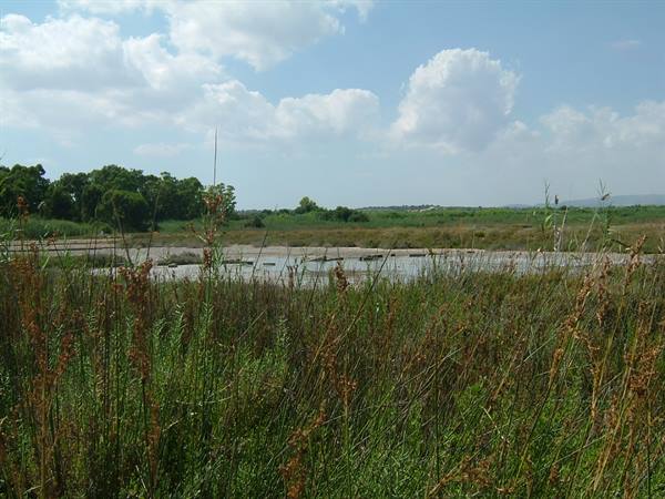 The reserve